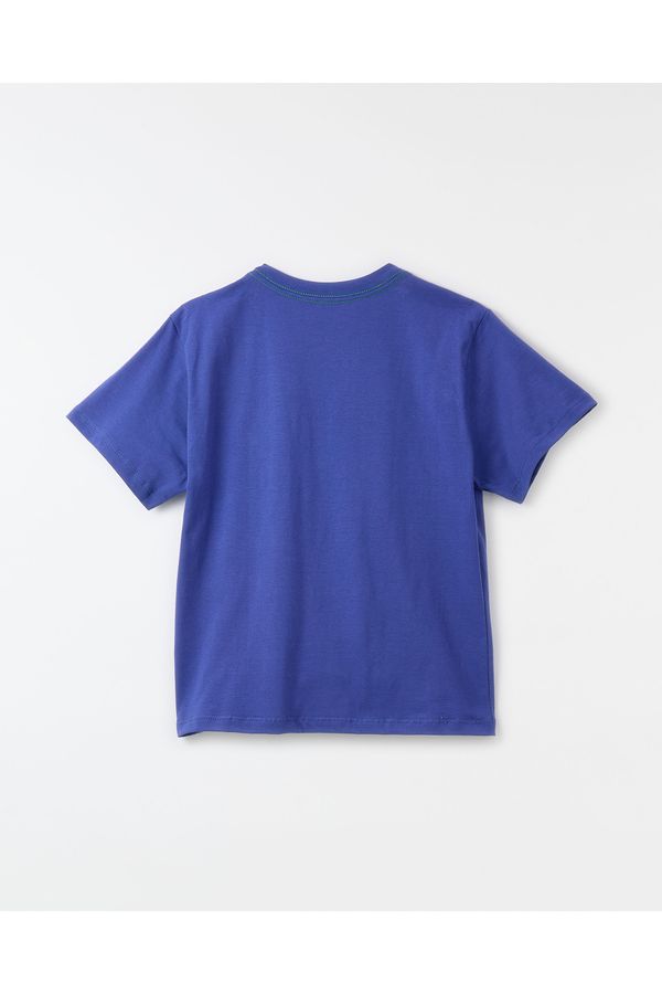 Camiseta Silk Doguinho Radical